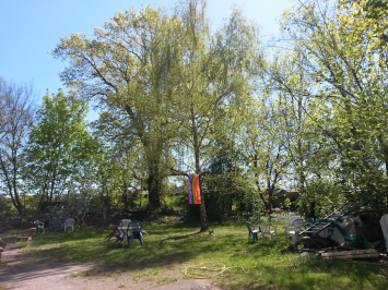 Garten in hellem Frühlingsgrün mit Regenbogenfahne, sonnendurchleuchtet.